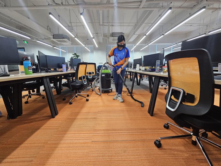 professional deep cleaning